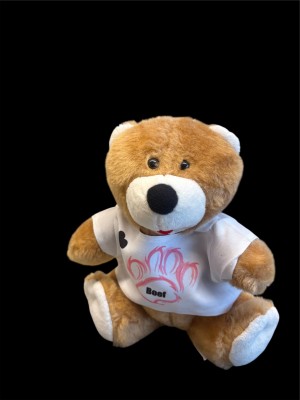 Knuffelbeer met shirt met naam en afbeelding